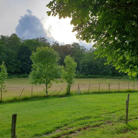 Appartement Villa Le Plateau. La Bourboule Eksteriør bilde